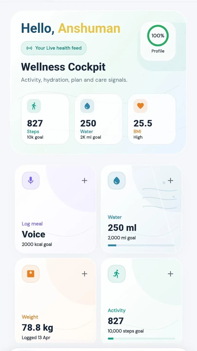 Your Wellness Cockpit