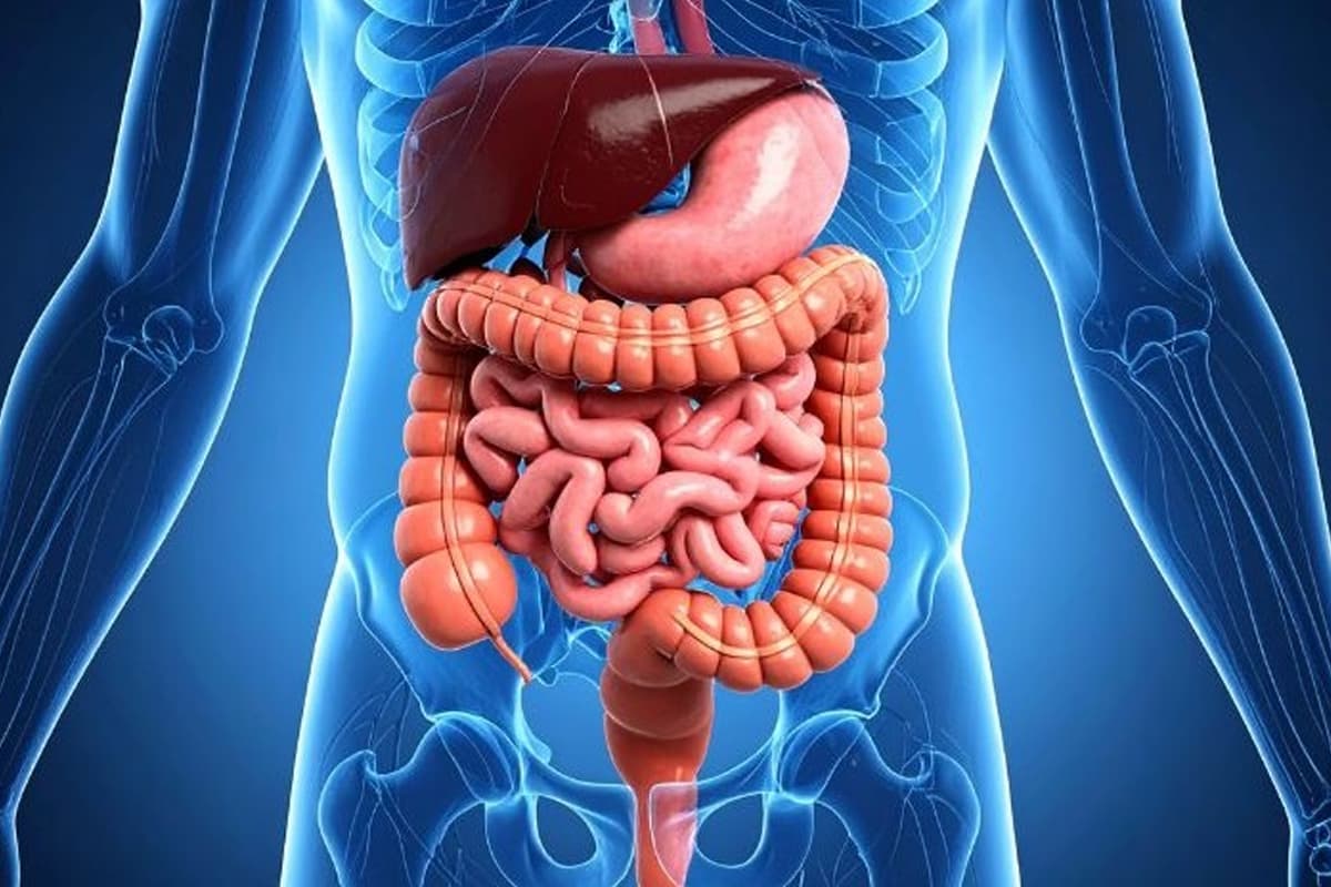Health & Metabolic Assessment