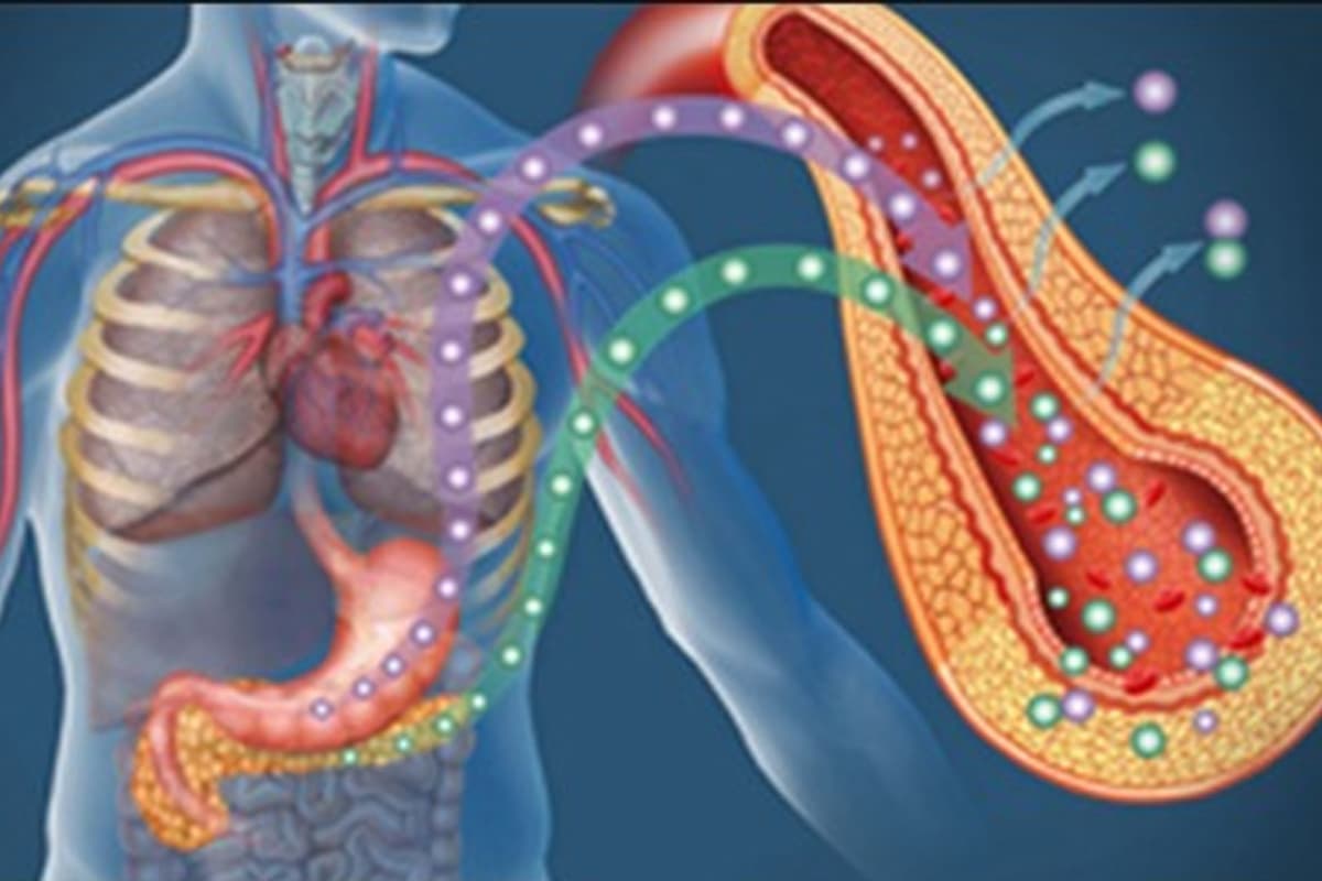 Health Metabolic Review
