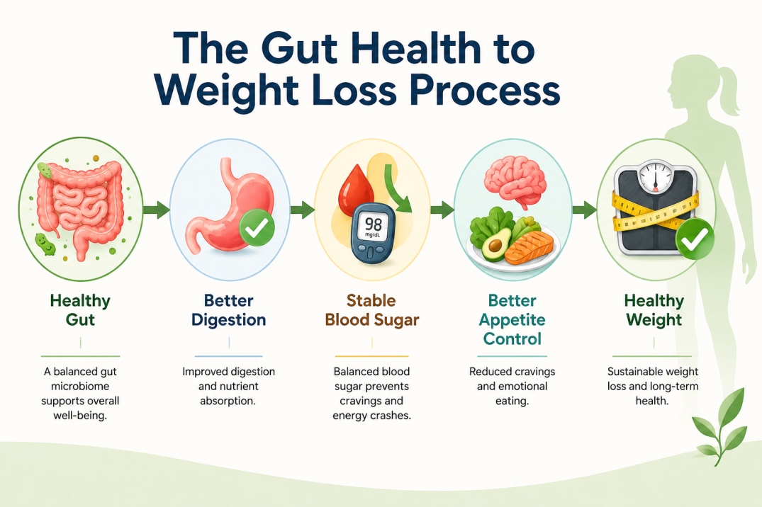 Gut Health and Weight Loss - WelloraFit