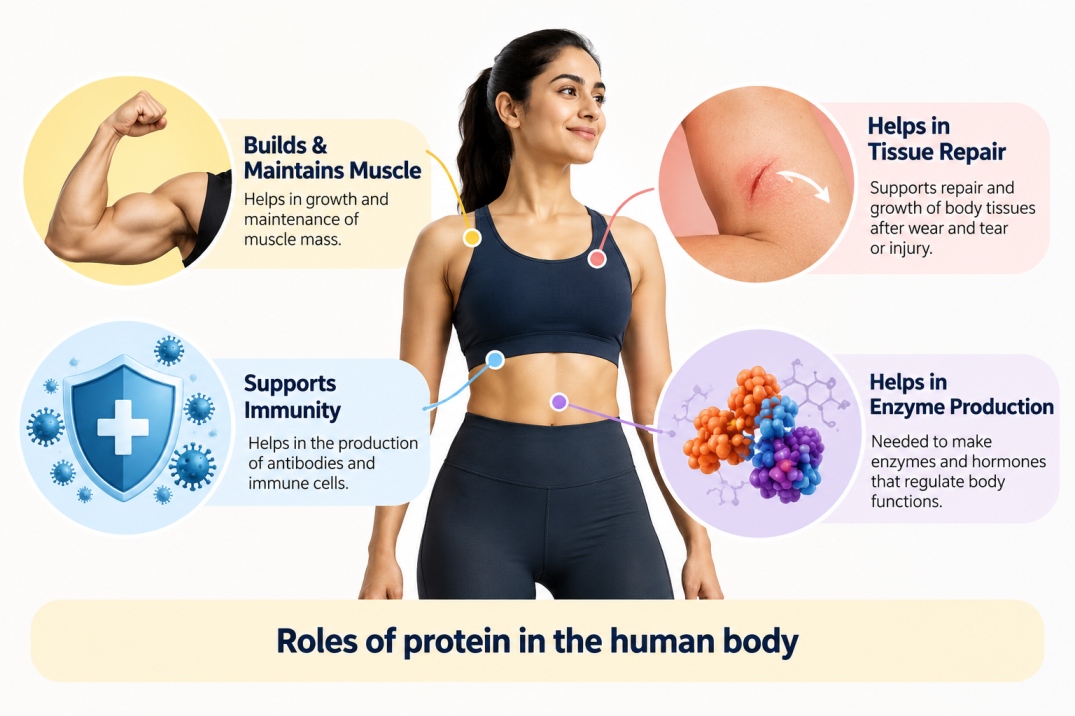 high protein vegetarian - WelloraFit