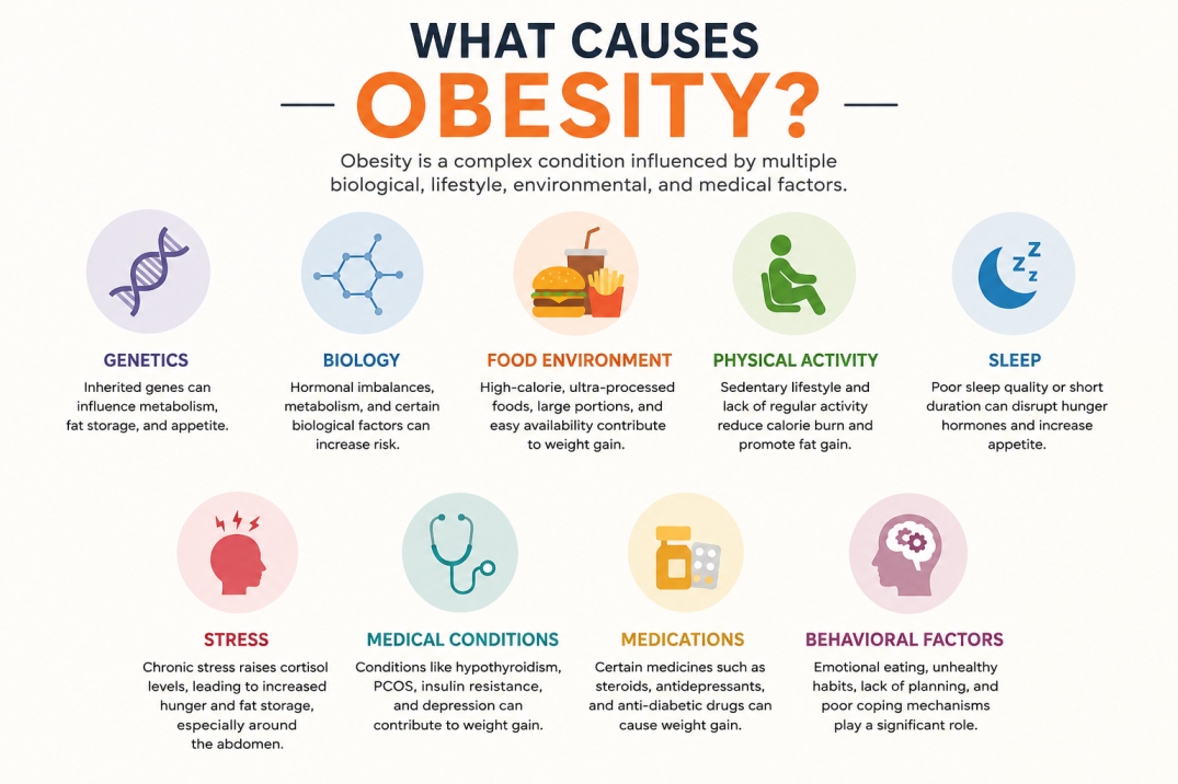 obesity diet - WelloraFit