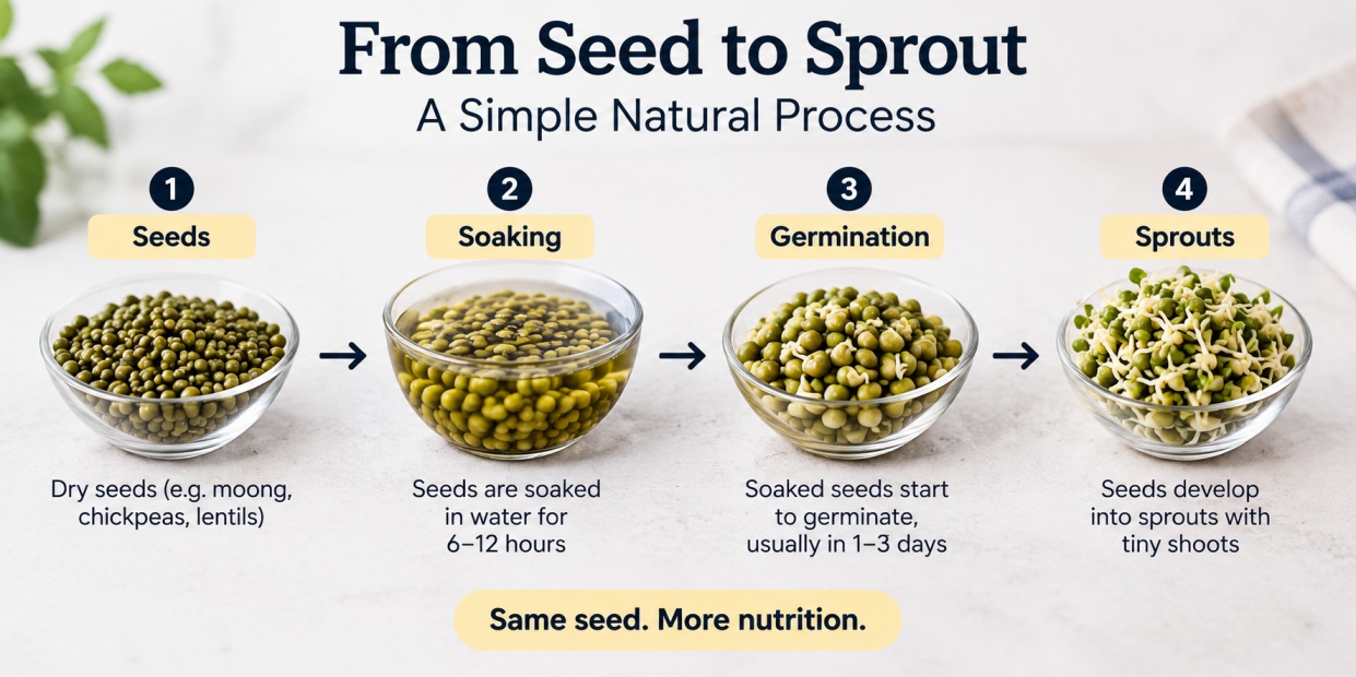 sprout - WelloraFit